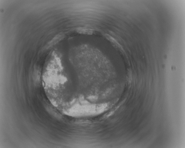 X0000082681154200702232131