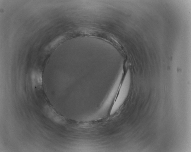 X0000082681155200702232131