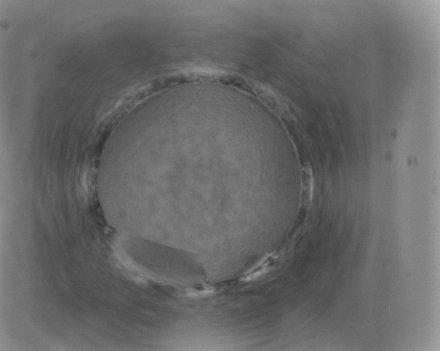 X0000082681157200702232131