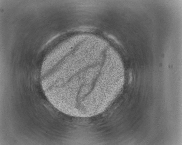 X0000082681158200702232131