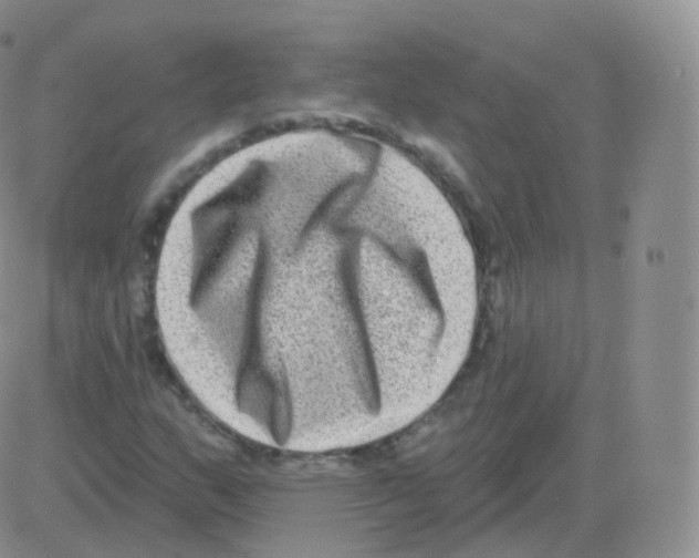 X0000082681159200702232131