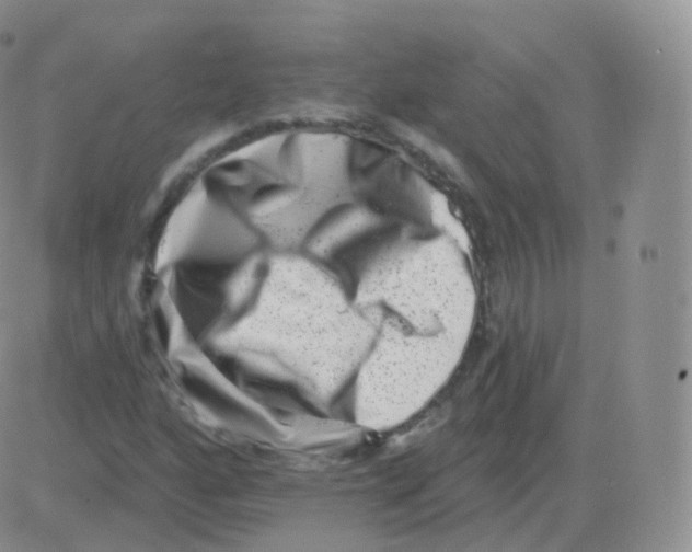 X0000082681160200702232131