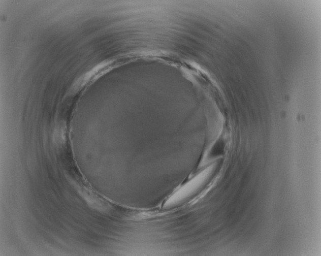 X0000082681161200702232130