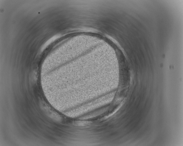 X0000082681163200702232130