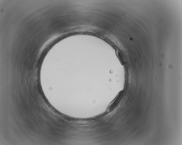 X0000082681164200702232130