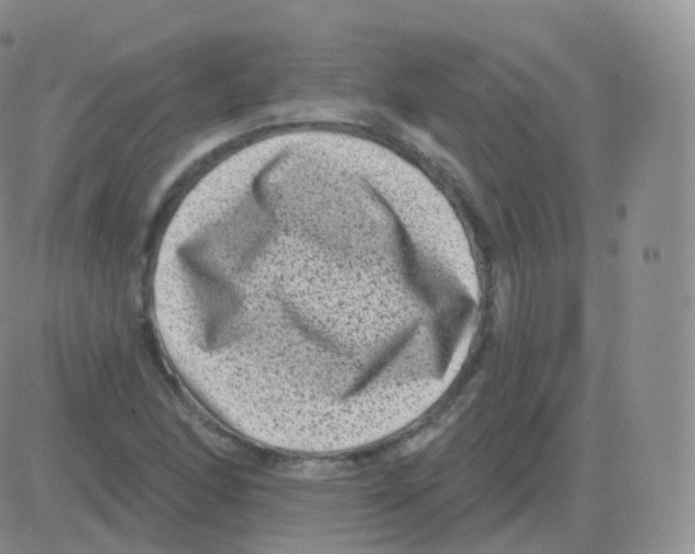 X0000082681166200702232130