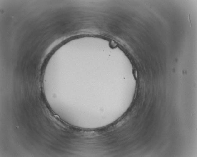 X0000082681168200702232130