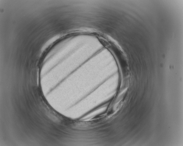 X0000082681171200702232130