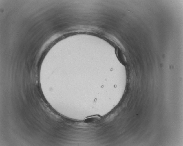 X0000082681172200702232130