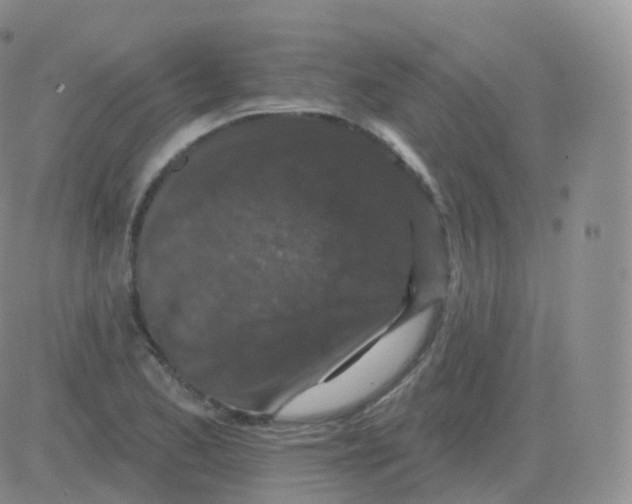 X0000082681173200702232130