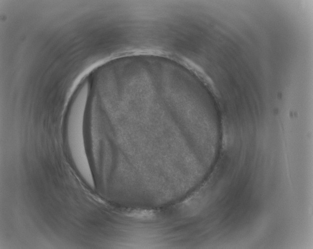 X0000082681174200702232130