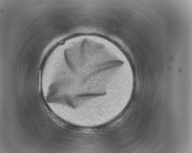 X0000082681175200702232130