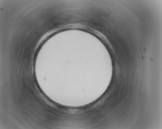 X0000082681176200702232130