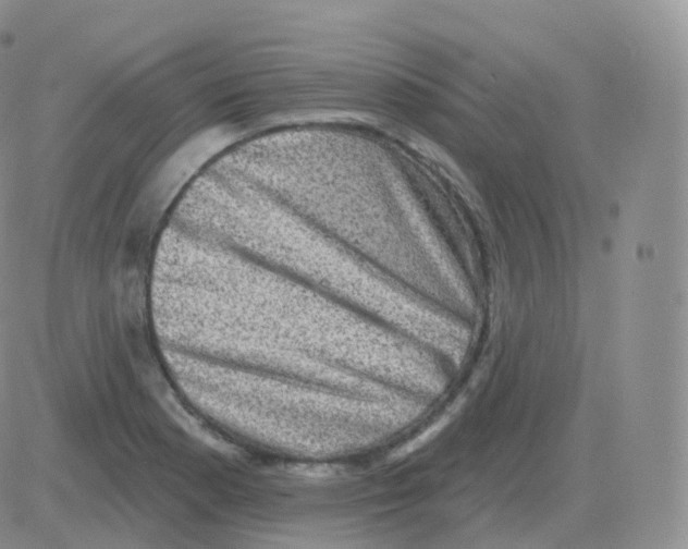 X0000082681177200702232130