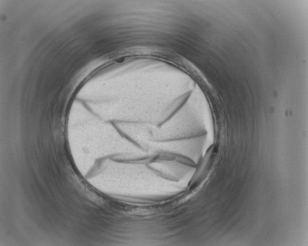 X0000082681178200702232130