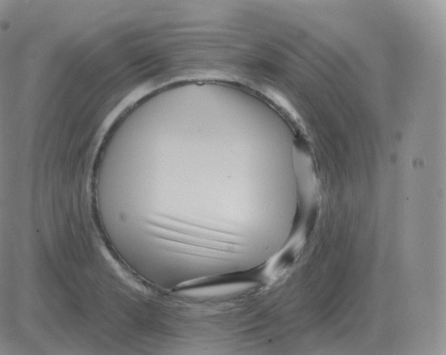 X0000082681181200702232130