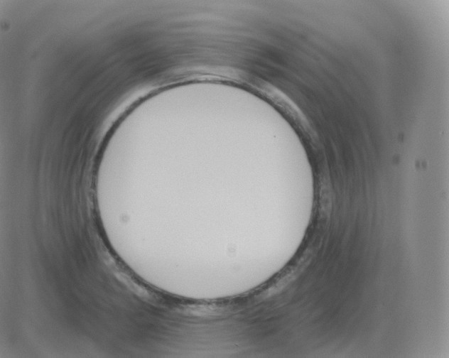 X0000082681182200702232130