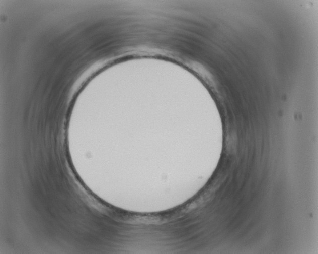 X0000082681183200702232130