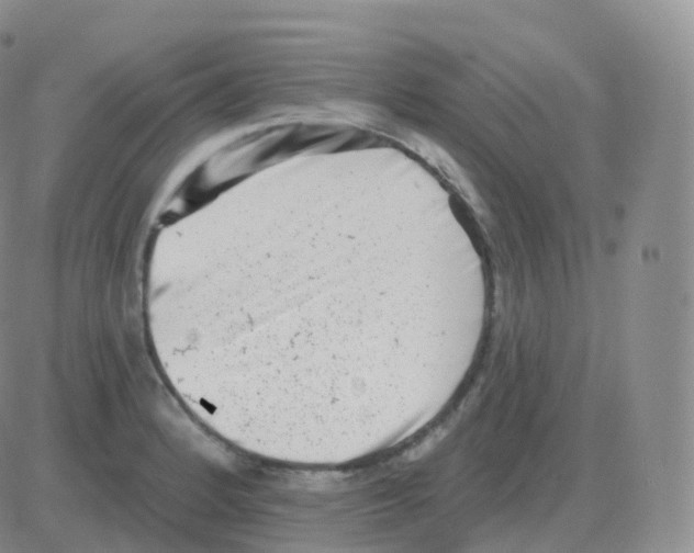 X0000082681184200702232130