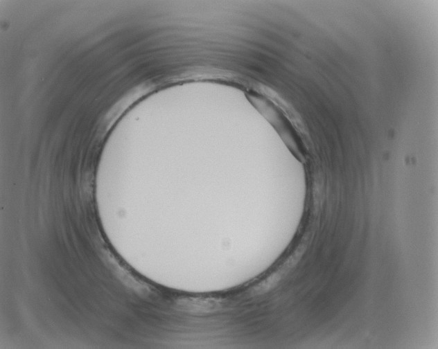 X0000082681185200702232130