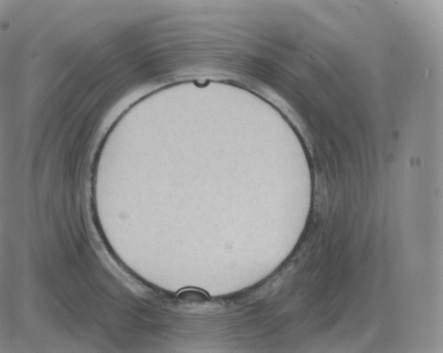 X0000082681187200702232130