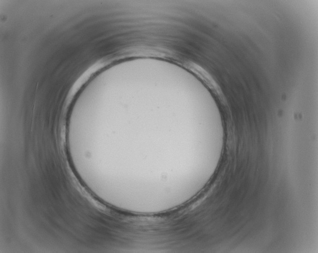 X0000082681188200702232130