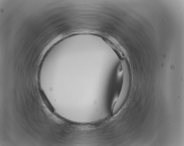 X0000082681189200702232130