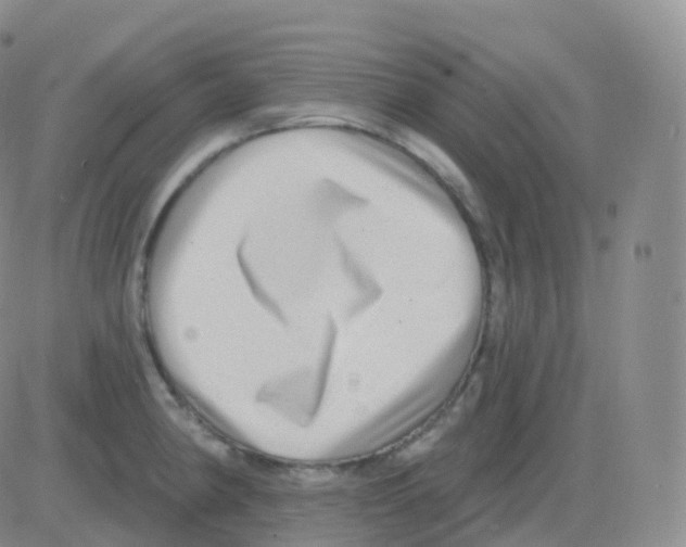 X0000082681190200702232130