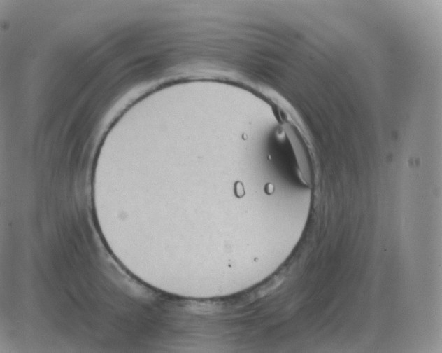 X0000082681191200702232130