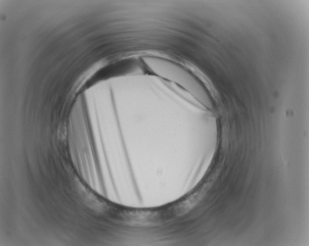 X0000082681193200702232130