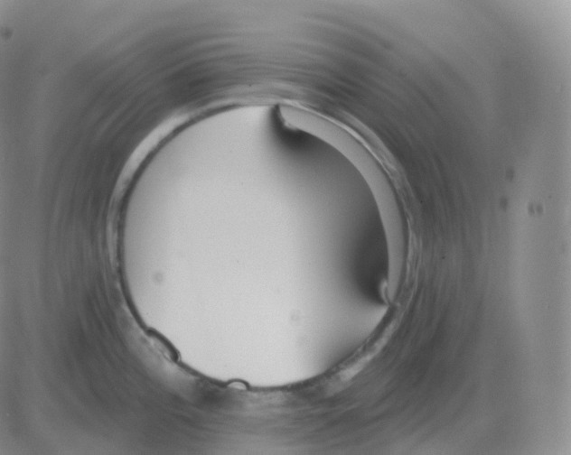 X0000082681196200702232130