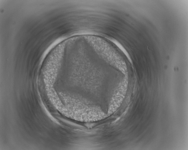 X0000082681197200702232130