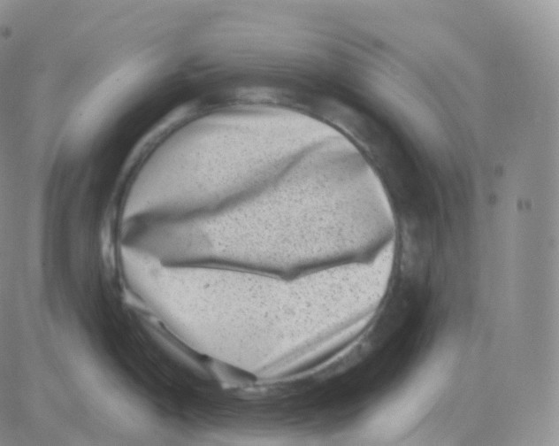 X0000082681198200702232130