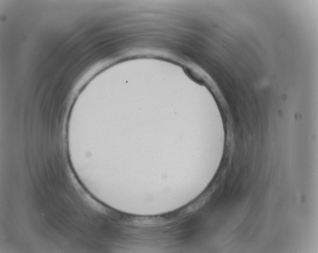 X0000082681199200702232130