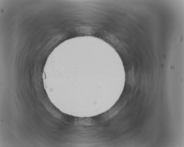 X0000082681201200702232129