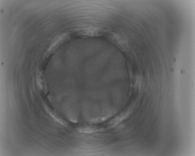 X0000082681202200702232129