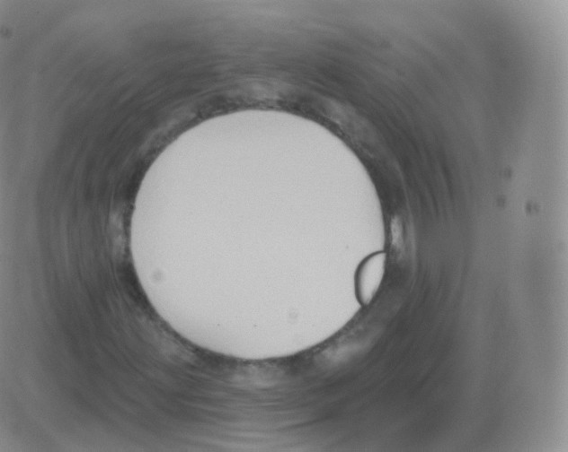 X0000082681203200702232129