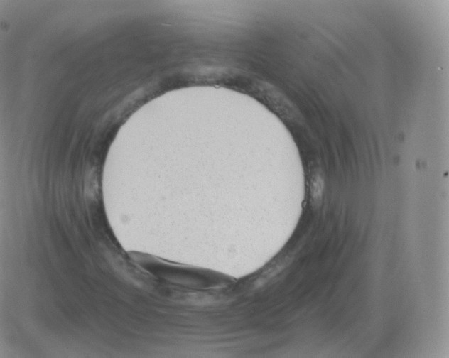 X0000082681204200702232129