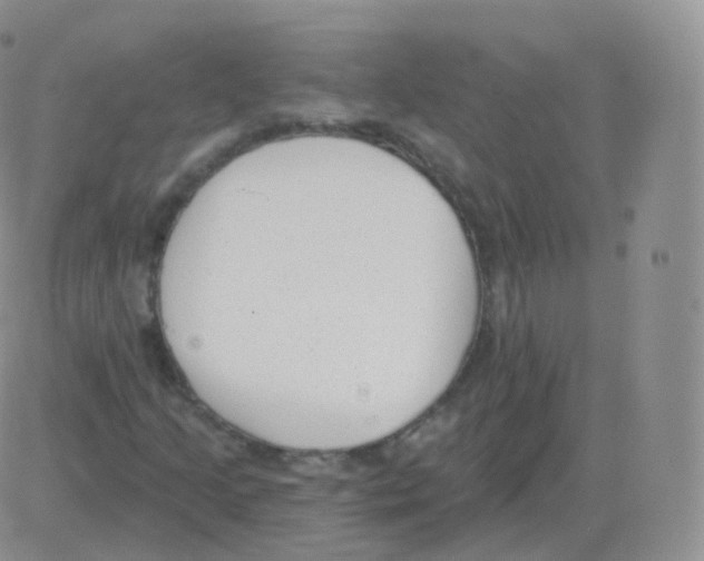 X0000082681205200702232129