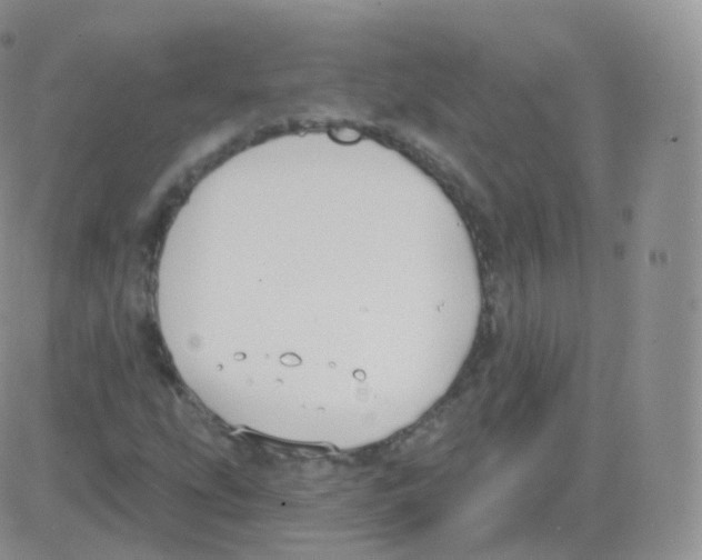 X0000082681207200702232129