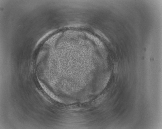 X0000082681208200702232129