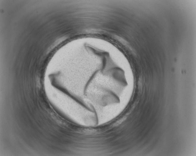 X0000082681209200702232129