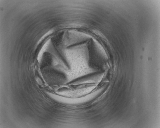 X0000082681210200702232129