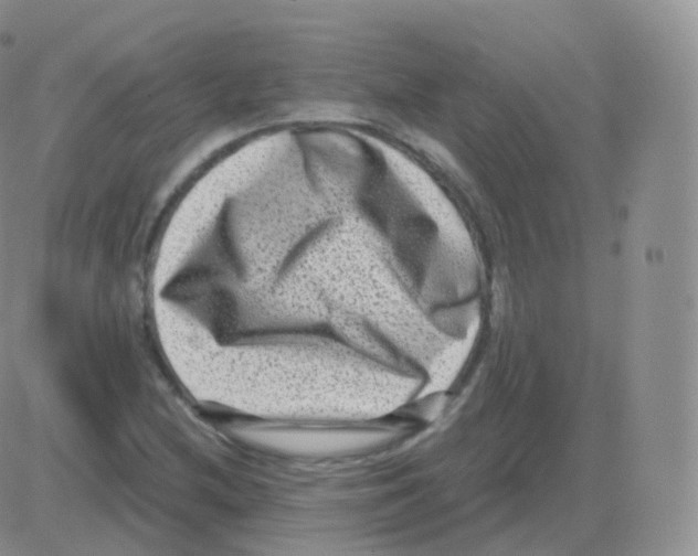 X0000082681212200702232129