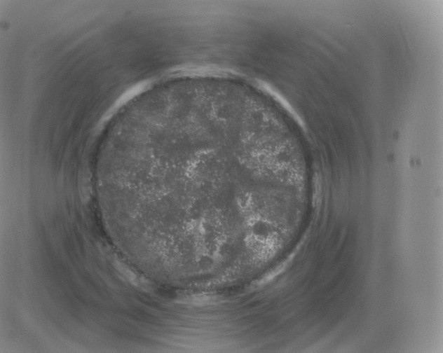 X0000082681213200702232129