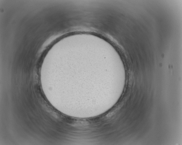 X0000082681215200702232129