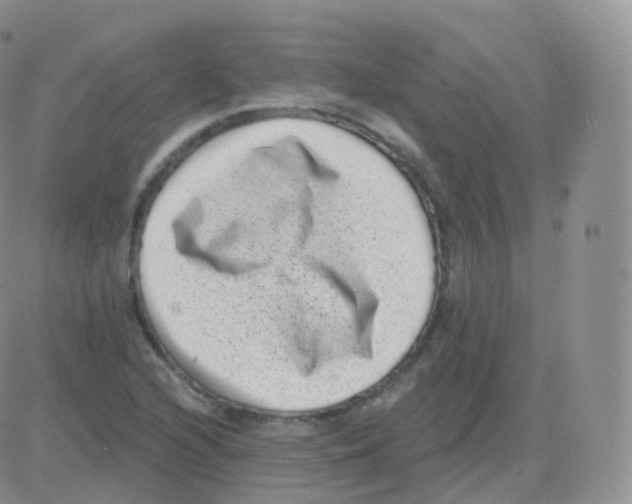 X0000082681216200702232129