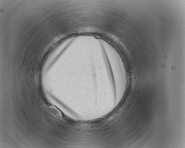 X0000082681217200702232129