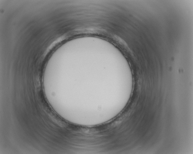 X0000082681218200702232129