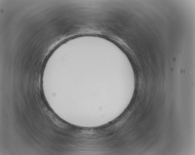 X0000082681220200702232129